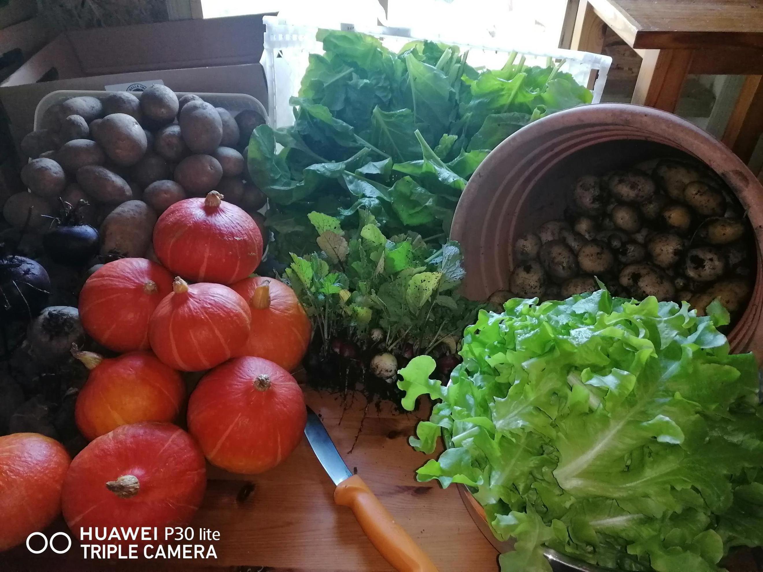 Build your own veg box